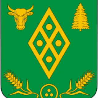 Логотип телеграм канала @volosovo_main — Волосовский | Главный