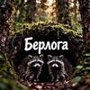 Логотип телеграм канала @volotzero — Берлога Енотов