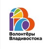 Логотип телеграм канала @volunteer_vl — Волонтёры Владивостока