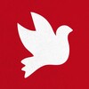 Логотип телеграм канала @volunteersofpeace — Волонтеры Мира