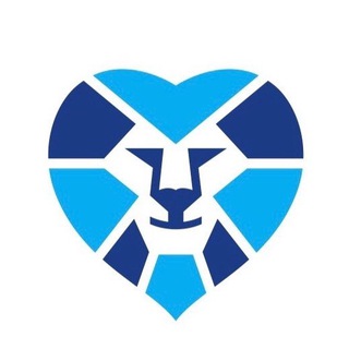 Логотип телеграм канала @volzenit — Волонтеры Зенита 💙