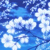 Логотип телеграм канала @voprekii11 — ✨Жизнь Ann✨