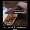 Логотип телеграм канала @voran_nagensov — Воран нагенсов