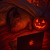Логотип телеграм канала @vorkbychki — Воркаем медвежку
