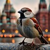 Логотип телеграм канала @vorobushki_msk — Воробушки - Новости МСК