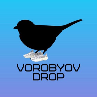 Логотип телеграм канала @vorobyov_drop — "Воробйов" дропшипінг