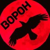 Логотип телеграм канала @voron_31 — ВОРОН