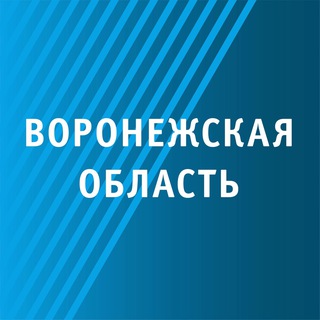 Logo saluran telegram voronezh_mtv36 — Мой Воронеж