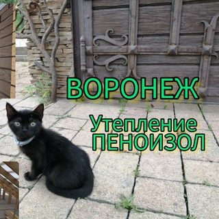Логотип телеграм канала @vortex_36_penoizol — ТЕПЛО В ДОМ 89507667711