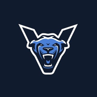 لوگوی کانال تلگرام vortex_team_org — Vortex Security Team