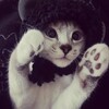 Логотип телеграм канала @voshishaus — восхищаюсь