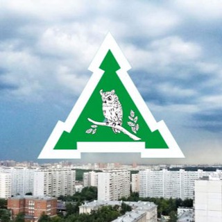 Логотип телеграм канала @vostochnoeizmailovo — Наше ВИ - Восточное Измайлово