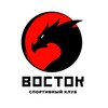 Логотип телеграм канала @vostok_karatewkf — Спортивный клуб «Восток»