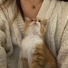 Логотип телеграм канала @vostok_veter — ᯏ . домик котят ౨ৎ