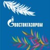 Логотип телеграм канала @vostokgazprom — АО "Востокгазпром"