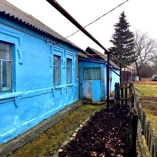 Логотип телеграм канала @vot_moya_derevnya — Моя деревня