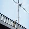 Логотип телеграм канала @vovaegorov_tapes — вова егоров доставляет