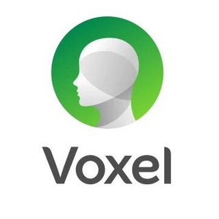 Logo of telegram channel voxelstom — Voxel