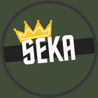 Логотип телеграм канала @vpluse007 — SEKA 👑