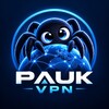 Логотип телеграм канала @vpnpaukfree — PAUK VPN