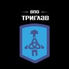 Логотип телеграм канала @vpo_triglav — ВПО "Триглав"