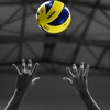 Логотип телеграм канала @vprovolleystories — VProVolley