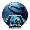 Логотип телеграм канала @vratarsbb — Вратарь с большой буквы