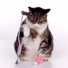 Логотип телеграм канала @vreden_centre — Orthopedic surgeon, phd