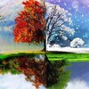 Логотип телеграм канала @vremenaistra — ВРЕМЕНА ИСТРА
