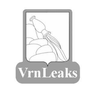 Telegram channel Voronezh Leaks logo