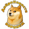 Логотип телеграм канала @vrndobro — ДоброНовости Воронеж