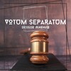 Логотип телеграм канала @vs_voxls — | VOTUM SEPARATUM |