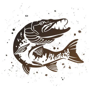 Логотип телеграм канала @vsadke — Рыбалка Хабаровск и ДВ "В САДКЕ"