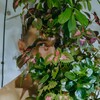 Логотип телеграм канала @vsadupeople — RECOVERY* x VSADU