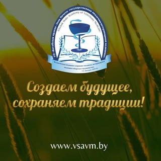 Логотип телеграм канала @vsavm_official — ВГАВМ official