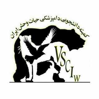 Logo of telegram channel vsciw — VSCIW ⚚