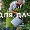 Логотип телеграм канала @vsedachi — Все для дачи🌱🌹 Моя дача🏕