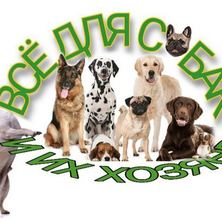 Логотип телеграм канала @vsedlyasobak — Пошив одежды для собак 🐶 | Одежда для собак