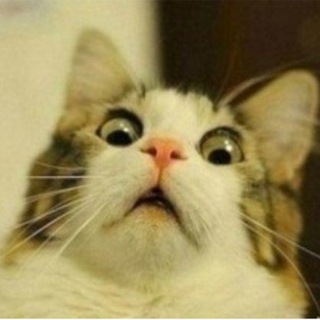 Логотип телеграм канала @vsego19 — БРО... Без Розовых Очков....