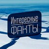 Логотип телеграм канала @vseofact — Все О Фактах