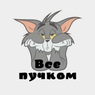 Логотип телеграм канала @vsepuchkomm — Все пучком✌🏻