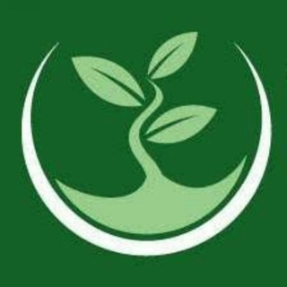 Логотип телеграм -каналу vseroste — Сад та город | Vse Roste