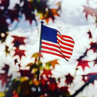 Логотип телеграм канала @vsimmigration — Immigration_Lawyer_USA