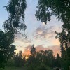 Логотип телеграм канала @vsosnovkelubyat — в сосновке любят...