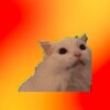 Логотип телеграм канала @vsratie_koti — Всратые коты
