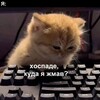 Логотип телеграм канала @vsyakayavsyachina64 — Всякая всячина. Юмор и не только😁
