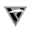 Логотип телеграм канала @vteamracing — V-Team, рейсинг в МО