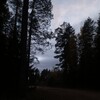 Логотип телеграм канала @vtihvinilid — В тихвине любят