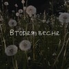 Логотип телеграм канала @vtorayavesna — Привет, вторая весна!