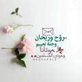 Telegram kanalining logotibi vtttv3 — روحہ وريہحہانہ 🌿💚